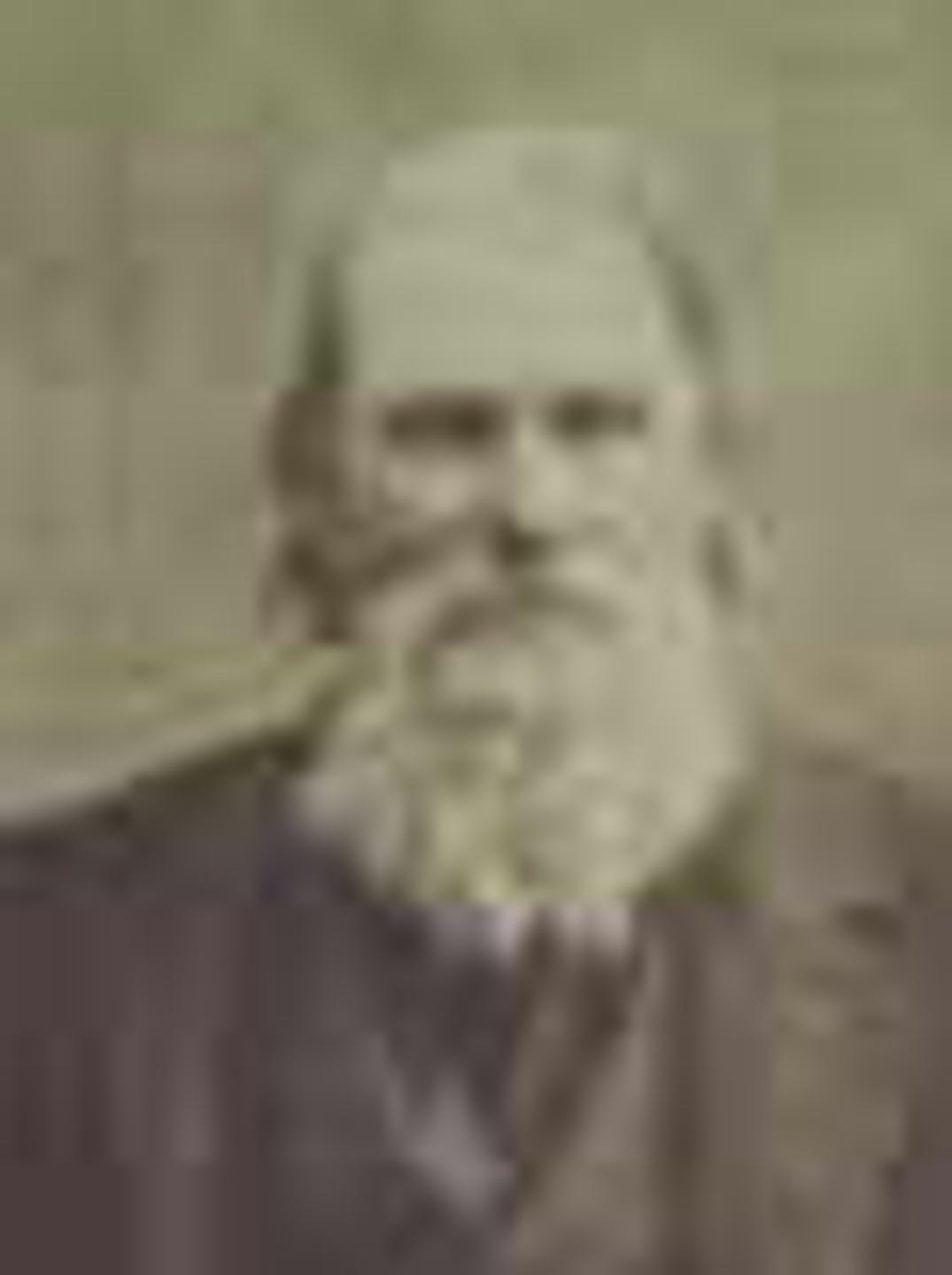 Alvus Houston Patterson (1826 - 1899) Profile
